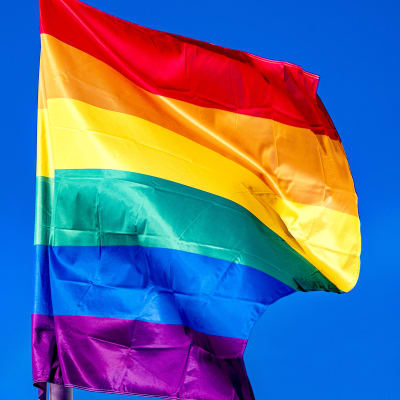 Pride-lippu liehuu tangossa vasten sinistä taivasta,