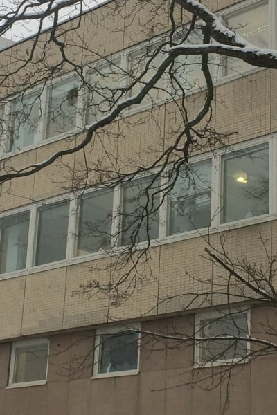 Söndriga fönsterrutor på ett hus med gulaktig tegelfasad.