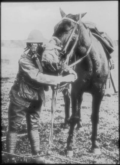 En amerikansk soldat och en häst som båda bär gasmasker under första världskriget.