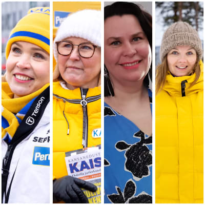 Lapin kansanedustajat