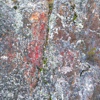 Ennestään tuntematon kalliomaalaus Leppävirran Pöyhönsaaressa.