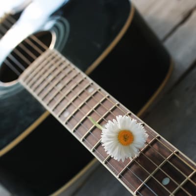 En gitarr med en blomma i strängarna ligger på en brygga.
