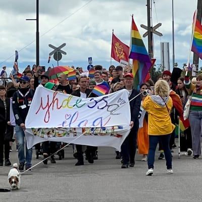 Vaasan Pride-kulkueessa kävelee ihmisiä ja koira sateenkaarilippujen kanssa.