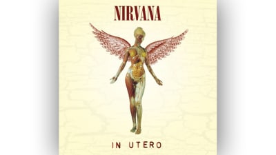 Nirvana In utero konvolut