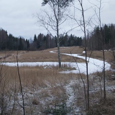 Åkermark på vintern med gångar i mitten.