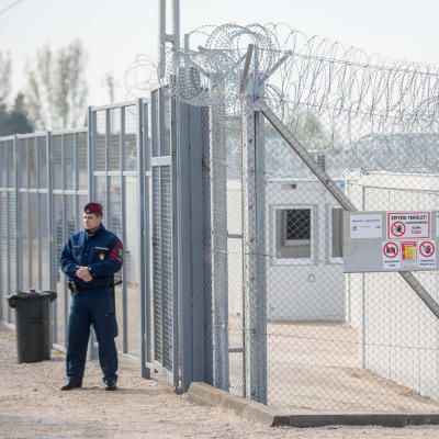 Containrar som används för logi i en ungersk transitzon på gränsen mellan Ungern och Serbien. Området är omgärdat av ett stängsel och taggtråd, en vakt står utanför området. Fotot från ett läger nära den ungerska staden Tompa, den 6 april 2017.
