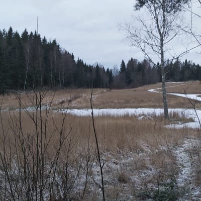 Åkermark på vintern med gångar i mitten.
