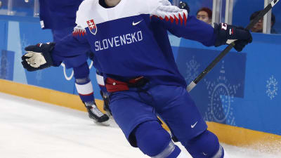 Slovakien-Ryssland.