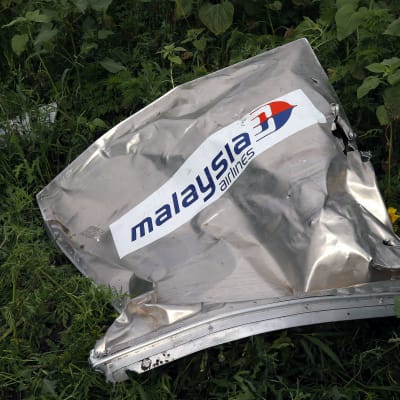 En del av Malaysia Airlines plan som störtade i Ukraina 2014