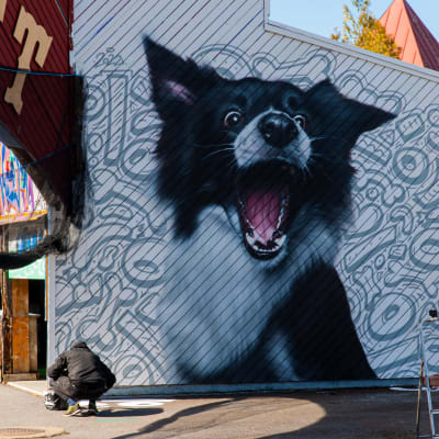 En konstnär arbetar på en väggmålning föreställande en hund