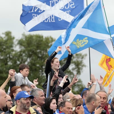En arkivbild från september 2014 med anhängare av ett självständigt Skottland som viftar med skotska flaggan som är blå med ett vitt kors.