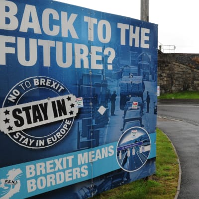 Anti-brexitaffisch i Newry i Irland.