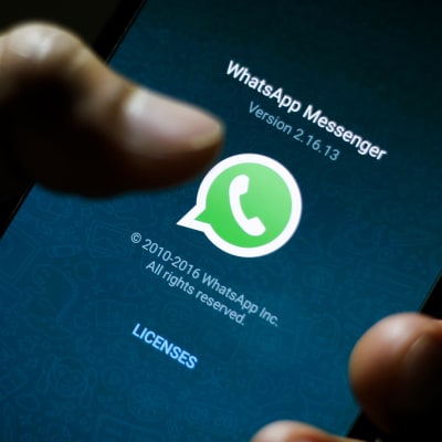 Bild av Whatsapps logotyp på en mobilskärm.