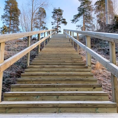 Motionstrappor i trä, med ett lätt täcke av rimfrost. 