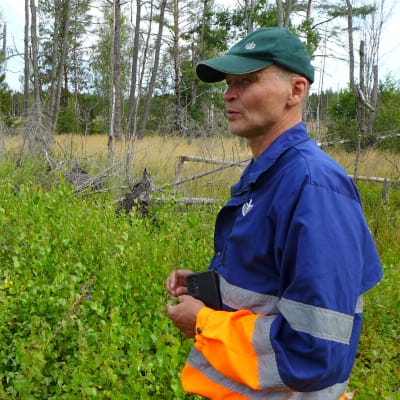 Skogsexpert Kari Laiho står vid ett skogsbryn.