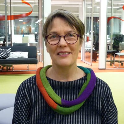 Kansanedustaja Satu Hassi