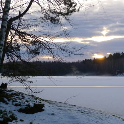 Aurinko laskee talvella järvenrannan taakse.