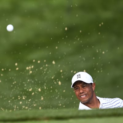 Tiger Woods, augusti 2014