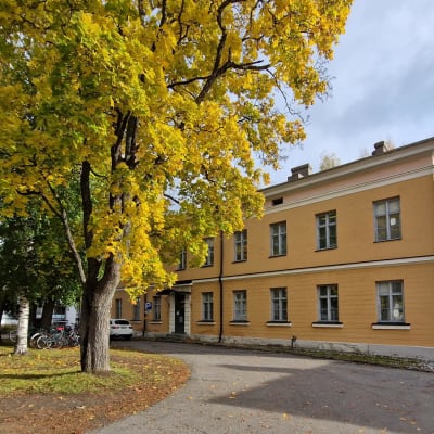 Keltainen kaksikerroksinen Mikkelin keskussairaalan P-rakennus.