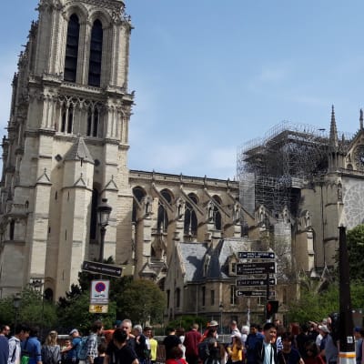 Bild av Notre-Dame