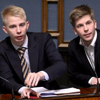 Perussuomalaisten kansanedustajat Miko Bergbom (vas.) ja Joakim Vigelius eduskunnan suullisella kyselytunnilla.