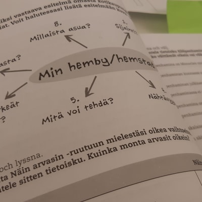 Bild på en bok som används i svenskundervisning.