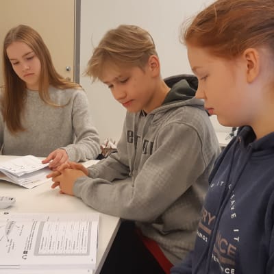 Anna-Leena Kähäri, Eeli Kärkkäinen och Kiia Karttunen läser svenska.