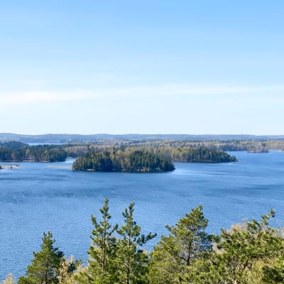 Maisemia Vehoniemen näkötornista Roineen järven suuntaan. Aurinko paistaa ja puut ovat alkaneet vihertää.