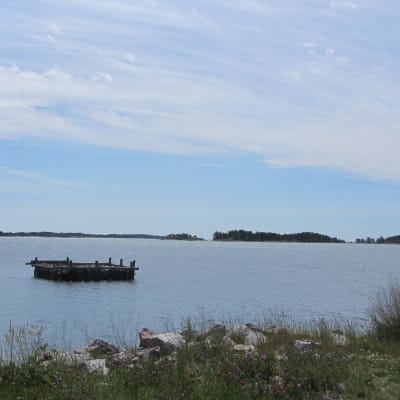 Utsikt från fabriksbryggan i Tvärminne.