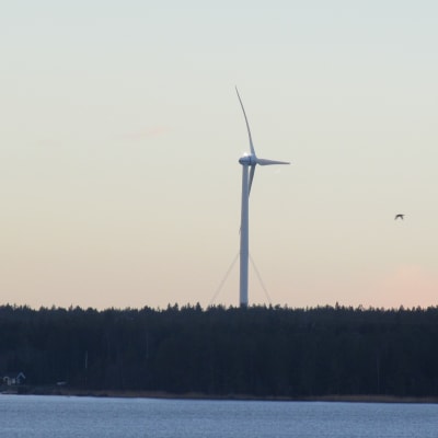 Merventos vindkraftverk i Vasa.