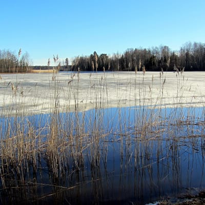 Infjärden i Vasa