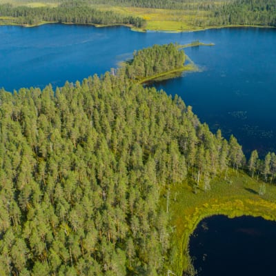 Tiilikkajärven kansallispuistoa kuvattuna ilmasta