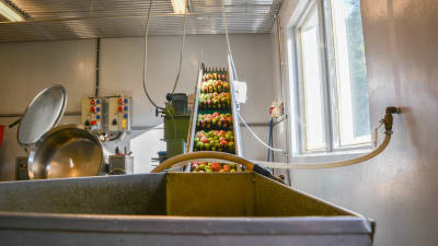 Äppel blir till äppelmust