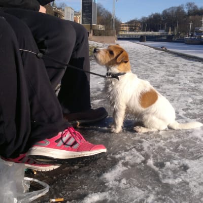 Utelunch vid Aura å i Åbo