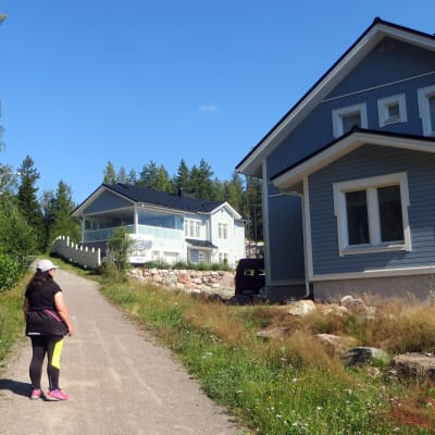 skog och hus
