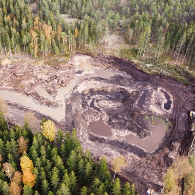 Flygbild av våtmark i Täktom i Hangö som byggs under WWF:s RANKKUprojekt för att minska utsläppen i Östersjön.