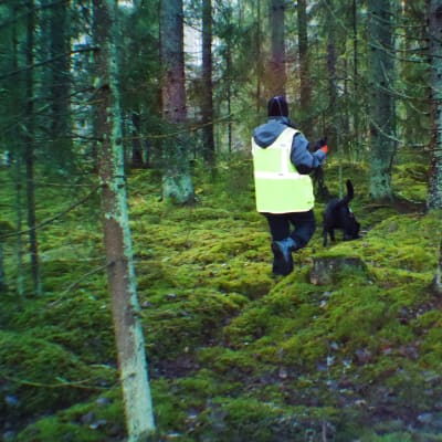 Jenni Kukkonen ja Bonita-koira etsivät kadonnutta maastosta