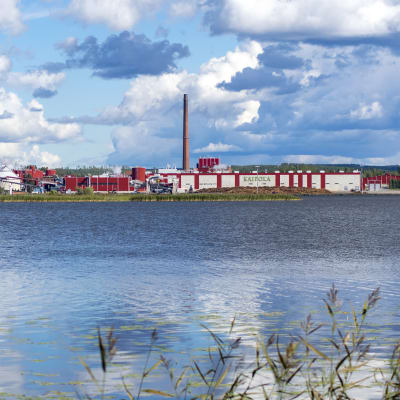 Kaipolan paperitehdas Päijänteen rannalla.