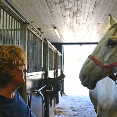 Kvinna och häst i stall ser på varandra
