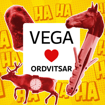 En gul bakgrund med HA flera gånger, i mitter en vit ruta där det står Vega hjärta ordvitsar. Runtom En säl, en häst i en träplugg och en ren med ett armbandsur runt sig.