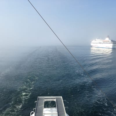 Viking Grace merellä.