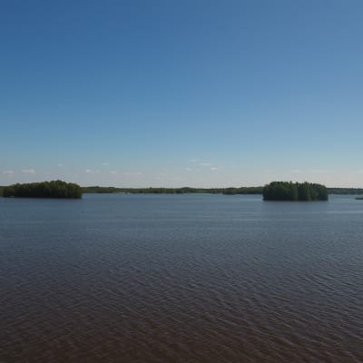 Hinjärv träsk.