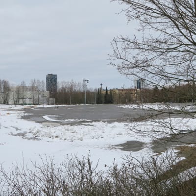 Sorsapuisto Tampere