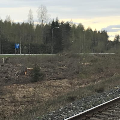 Rautatien lähialue raivattu puustosta Liperin Käsämässä Joensuun länsipuolella.