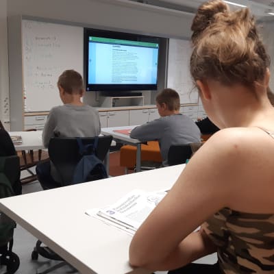 Peruskoulu sähköinen opetus opetussuunnitelma koulu yläkoulu oppitunti opettaja opetus opettaminen koulu