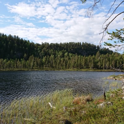 Hevosaitajärvi, Inari Anár