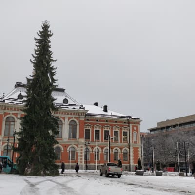 Kuopion torin joulukuusi marraskuussa 2019.