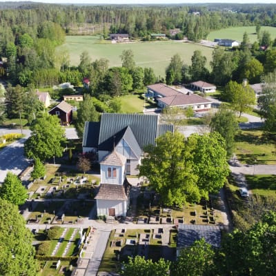Bild av Bormarv uppifrån. 
