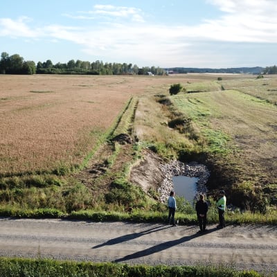 Bottendammar vid ett dike, en bäck som leder till en å. Bild tagen med drönare uppifrån. Man ser också tre personer som står nära en konstgjord damm.