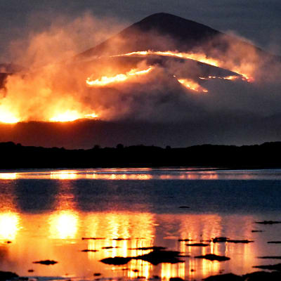 Metsäpalo Mourne Mountains tasangolla Pohjois-Irlannissa 24.4.2021.